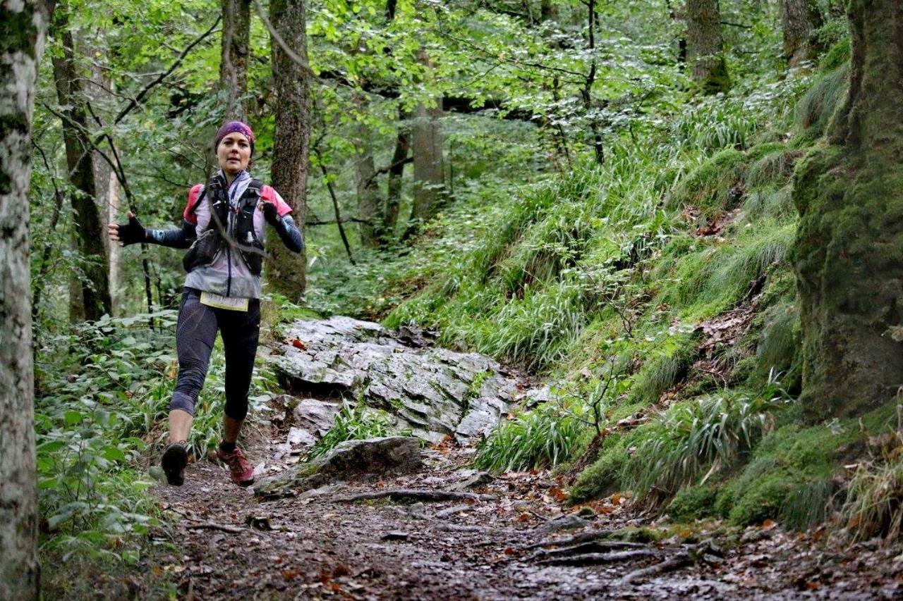 Abso-Gite Houffalize Exteriér fotografie